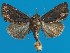  ( - FG088)  @13 [ ] Unspecified (default): All Rights Reserved  Unspecified Unspecified