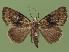  ( - FG009)  @13 [ ] Unspecified (default): All Rights Reserved  Unspecified Unspecified