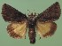  ( - FG091)  @11 [ ] Unspecified (default): All Rights Reserved  Unspecified Unspecified