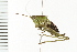  ( - 08BBORTH-0156)  @14 [ ] CreativeCommons - Attribution (2008) Unspecified Centre for Biodiversity Genomics