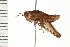  ( - 08BBORTH-0283)  @12 [ ] CreativeCommons - Attribution (2008) Unspecified Centre for Biodiversity Genomics