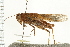  ( - 08BBORTH-0363)  @11 [ ] CreativeCommons - Attribution (2008) Unspecified Centre for Biodiversity Genomics