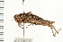  ( - 08BBORTH-0519)  @13 [ ] CreativeCommons - Attribution (2008) Unspecified Centre for Biodiversity Genomics