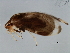  ( - 08TTML-2666)  @13 [ ] CreativeCommons - Attribution (2010) CBG Photography Group Centre for Biodiversity Genomics