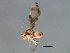  ( - 10BBPSO-025)  @13 [ ] CreativeCommons - Attribution (2010) CBG Photography Group Centre for Biodiversity Genomics