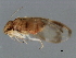  ( - 10BBPSO-039)  @12 [ ] CreativeCommons - Attribution (2010) CBG Photography Group Centre for Biodiversity Genomics