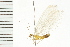  ( - 08BBNEU-028)  @13 [ ] CreativeCommons - Attribution (2008) Unspecified Centre for Biodiversity Genomics