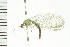  ( - 08BBNEU-031)  @13 [ ] CreativeCommons - Attribution (2008) Unspecified Centre for Biodiversity Genomics