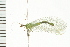  ( - 08BBNEU-032)  @13 [ ] CreativeCommons - Attribution (2008) Unspecified Centre for Biodiversity Genomics