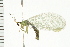  ( - 08BBNEU-035)  @13 [ ] CreativeCommons - Attribution (2008) Unspecified Centre for Biodiversity Genomics