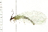  ( - 08BBNEU-043)  @13 [ ] CreativeCommons - Attribution (2008) Unspecified Centre for Biodiversity Genomics