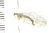  ( - 08BBNEU-072)  @13 [ ] CreativeCommons - Attribution (2008) Unspecified Centre for Biodiversity Genomics