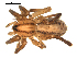  ( - 01-KADIR-C04)  @13 [ ] CreativeCommons - Attribution  Gergin Blagoev, Centre for Biodiversity Genomics Centre for Biodiversity Genomics