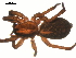  ( - 01-KADIR-H04)  @13 [ ] CreativeCommons - Attribution  Gergin Blagoev, Centre for Biodiversity Genomics Centre for Biodiversity Genomics