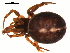  ( - 02-KADIR-A07)  @13 [ ] CreativeCommons - Attribution  Gergin Blagoev, Centre for Biodiversity Genomics Centre for Biodiversity Genomics