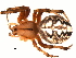  ( - 02-KADIR-B03)  @11 [ ] CreativeCommons - Attribution  Gergin Blagoev, Centre for Biodiversity Genomics Centre for Biodiversity Genomics