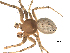  ( - 02-KADIR-E01)  @13 [ ] CreativeCommons - Attribution  Gergin Blagoev, Centre for Biodiversity Genomics Centre for Biodiversity Genomics