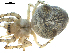  ( - 03-KADIR-B02)  @11 [ ] CreativeCommons - Attribution  Gergin Blagoev, Centre for Biodiversity Genomics Centre for Biodiversity Genomics