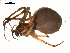  ( - 03-KADIR-B11)  @13 [ ] CreativeCommons - Attribution  Gergin Blagoev, Centre for Biodiversity Genomics Centre for Biodiversity Genomics