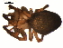  ( - 03-KADIR-B12)  @13 [ ] CreativeCommons - Attribution  Gergin Blagoev, Centre for Biodiversity Genomics Centre for Biodiversity Genomics