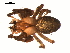  ( - 03-KADIR-C05)  @13 [ ] CreativeCommons - Attribution  Gergin Blagoev, Centre for Biodiversity Genomics Centre for Biodiversity Genomics