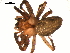  ( - 03-KADIR-C06)  @13 [ ] CreativeCommons - Attribution  Gergin Blagoev, Centre for Biodiversity Genomics Centre for Biodiversity Genomics