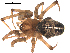  ( - 03-KADIR-E12)  @14 [ ] CreativeCommons - Attribution  Gergin Blagoev, Centre for Biodiversity Genomics Centre for Biodiversity Genomics