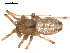  ( - 03-KADIR-F01)  @13 [ ] CreativeCommons - Attribution  Gergin Blagoev, Centre for Biodiversity Genomics Centre for Biodiversity Genomics