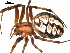 ( - 03-KADIR-G09)  @12 [ ] CreativeCommons - Attribution  Gergin Blagoev, Centre for Biodiversity Genomics Centre for Biodiversity Genomics