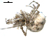  ( - 04-KADIR-G02)  @12 [ ] CreativeCommons - Attribution (2010) Gergin Blagoev, Centre for Biodiversity Genomics Centre for Biodiversity Genomics