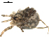  ( - 04-KADIR-G05)  @12 [ ] CreativeCommons - Attribution (2010) Gergin Blagoev, Centre for Biodiversity Genomics Centre for Biodiversity Genomics