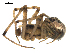  ( - 04-KADIR-G12)  @13 [ ] CreativeCommons - Attribution (2010) Gergin Blagoev, Centre for Biodiversity Genomics Centre for Biodiversity Genomics