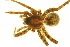  ( - 05-KADIR-E10)  @12 [ ] CreativeCommons - Attribution (2010) Gergin Blagoev, Centre for Biodiversity Genomics Centre for Biodiversity Genomics