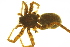  ( - 05-KADIR-F06)  @12 [ ] CreativeCommons - Attribution (2010) Gergin Blagoev, Centre for Biodiversity Genomics Centre for Biodiversity Genomics