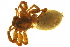  ( - 05-KADIR-F07)  @12 [ ] CreativeCommons - Attribution (2010) Gergin Blagoev, Centre for Biodiversity Genomics Centre for Biodiversity Genomics