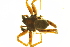  ( - 05-KADIR-F11)  @12 [ ] CreativeCommons - Attribution (2010) Gergin Blagoev, Centre for Biodiversity Genomics Centre for Biodiversity Genomics