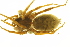  ( - 05-KADIR-F12)  @12 [ ] CreativeCommons - Attribution (2010) Gergin Blagoev, Centre for Biodiversity Genomics Centre for Biodiversity Genomics