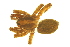  ( - 05-KADIR-G09)  @11 [ ] CreativeCommons - Attribution (2010) Gergin Blagoev, Centre for Biodiversity Genomics Centre for Biodiversity Genomics