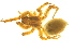  ( - 05-KADIR-H07)  @12 [ ] CreativeCommons - Attribution (2010) Gergin Blagoev, Centre for Biodiversity Genomics Centre for Biodiversity Genomics