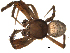  ( - 05-KADIR-H08)  @12 [ ] CreativeCommons - Attribution (2010) Gergin Blagoev, Centre for Biodiversity Genomics Centre for Biodiversity Genomics