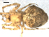  ( - 06-KADIR-A09)  @12 [ ] CreativeCommons - Attribution  Gergin Blagoev, Centre for Biodiversity Genomics Unspecified
