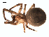  ( - 06-KADIR-B03)  @13 [ ] CreativeCommons - Attribution  Gergin Blagoev, Centre for Biodiversity Genomics Unspecified