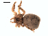  ( - 06-KADIR-D04)  @12 [ ] CreativeCommons - Attribution  Gergin Blagoev, Centre for Biodiversity Genomics Unspecified