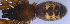  ( - BIOUG00517-G06)  @12 [ ] Copyright  G. Blagoev 2010 Unspecified