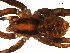  ( - BGSPI-02-G05)  @12 [ ] CreativeCommons - Attribution  Gergin Blagoev, Centre for Biodiversity Genomics Centre for Biodiversity Genomics