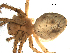  ( - BGSPI-02-H07)  @12 [ ] CreativeCommons - Attribution  Gergin Blagoev, Centre for Biodiversity Genomics Centre for Biodiversity Genomics