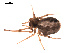  ( - BIOUG00174-D09)  @12 [ ] Copyright  G. Blagoev 2010 Unspecified