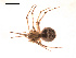  ( - BIOUG00174-F03)  @12 [ ] Copyright  G. Blagoev 2010 Unspecified