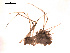  ( - BIOUG00174-F04)  @12 [ ] Copyright  G. Blagoev 2010 Unspecified