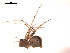  ( - BIOUG00174-F05)  @12 [ ] Copyright  G. Blagoev 2010 Unspecified